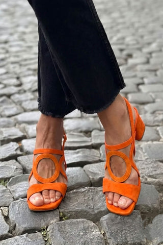 ROSAURA