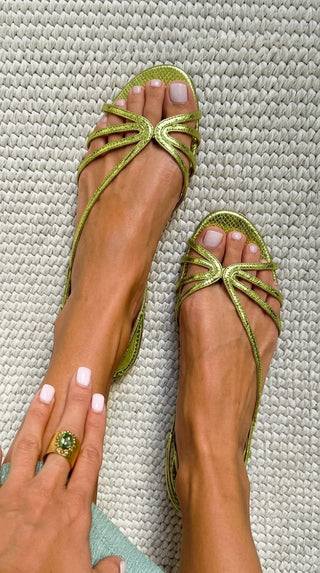 ROMANA Green